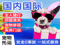 江北机场货运国际宠物托运 【国